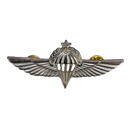Israel Defense Forces (IDF) Senior Parachutist Badge