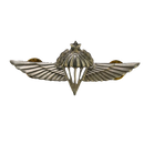 Israel Defense Forces (IDF) Senior Parachutist Badge, Item 2