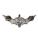 Israel SHAYETET 13 BAT WINGS IDF Navy Commando Squadron Badge, Item 2