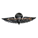 Malaysia Army Parachute Wings Badge
