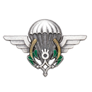 Niger Airborne (Parachutist) Qualification Badge