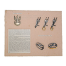 Polish WW2 Paratrooper Display Board - Army & Outdoors - Flags, Badges & Insignia