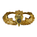 Republic of China (Taiwan) Army Airborne Master Parachutist Badge - Army & Outdoors - Flags, Badges & Insignia