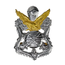 Republic of Korea (ROK) Army Special Warfare Command Beret Badge - Army & Outdoors - Flags, Badges & Insignia
