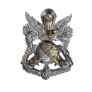 Republic of Korea (ROK) Army Special Warfare Command Beret Badge, Item 2 - Army & Outdoors - Flags, Badges & Insignia