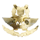 Republic of Singapore Air Force (RSAF) Cap Badge
