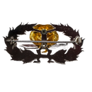 Royal Thai Army Ranger Badge