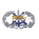 Royal Thai Border Police Special Forces Qualification Badge - Army & Outdoors - Flags, Badges & Insignia