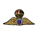 Royal Thai Paramilitary Force Badge, Item 2 - Army & Outdoors - Flags, Badges & Insignia