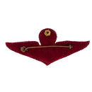 Royal Thai Police Basic Parachute Wing badge - Army & Outdoors - Flags, Badges & Insignia