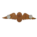 South African Defence Force Parachute Freefall Instructor Bronze Badge
