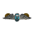 South African Defence Force Parachute Instructor Mess Dress Silver Badge