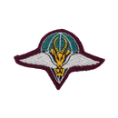 South African Defence Force (SADF) 1 Parachute Battalion Cloth Beret Badge