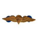 South African Parachutist Badge - South African Army Surplus - Flags, Badges & Insignia