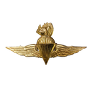 Sudanese Army Gold Parachutist Badge (Pre 1973)