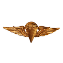 Syrian Arab Army Basic Parachutist Badge