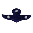 Thai Army Free Fall Wings Badge