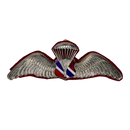 Thai Border Patrol Police Basic Parachute Wings Badge - Army & Outdoors - Flags, Badges & Insignia