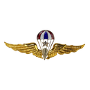 Thai Military Parachute Badge - Army & Outdoors - Flags, Badges & Insignia