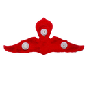 Thailand Army Senior Parachute Wings Badge