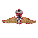 Thailand Army Senior Parachute Wings Badge