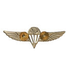 Uganda Army Basic Parachutist Wings Badge - Army & Outdoors - Flags, Badges & Insignia