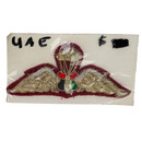 United Arab Emirates Paratrooper Patch - Army & Outdoors - Flags, Badges & Insignia
