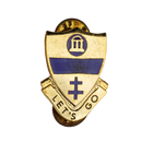 US Army 325th Infantry Regiment Unit Crest Pin