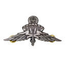 US Army Freefall Jump Wings Badge, Item 1