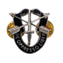 US Army Special Forces ("Green Berets") 1st Regiment Badge - US Army Surplus - Flags, Badges & Insignia