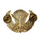 US Army Special Forces Prototype Parachutist Wing Badge - US Army Surplus - Flags, Badges & Insignia