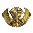 US Army Special Forces Prototype Parachutist Wing Badge - US Army Surplus - Flags, Badges & Insignia