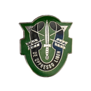 US Army Special Forces Unit Crest Pin - US Army Surplus - Flags, Badges & Insignia