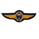 West German Bundesmarine Class III Paratrooper Qualification Wings, Item 2