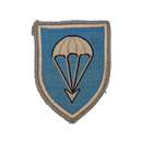 West German Bundeswehr 1st Airborne Division Patch